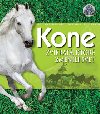 Kone - Kim Dennis-Bryan