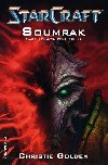 Soumrak - Christie Golden