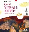Co si vyprvj andl - Pavel Brycz; Ale Prochzka