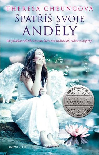 Spatříš svoje anděly - Theresa Cheungová