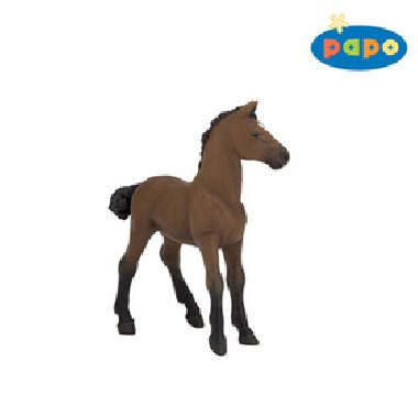 Anglick thouroughbred mld - 