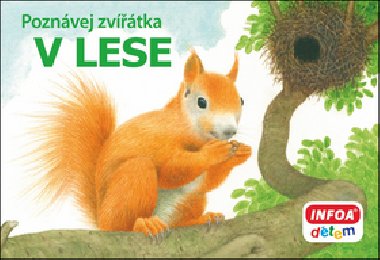 Poznvej zvtka - V lese - kolektiv autor