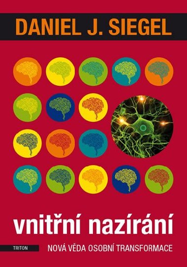 Vnitn nazrn - Nov vda osobn transformace - Daniel J. Siegel