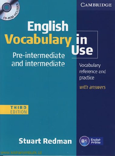 English Vocabulary in Use Pre-Intermediate CD - Redman Stuart
