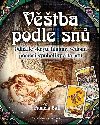 Věštba podle snů - Odhalte skryté hlubiny vědomí pomocí symboliky a tarotu - Pamela Ball