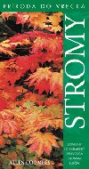 Stromy - Allen Coombes