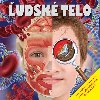 udsk telo - 