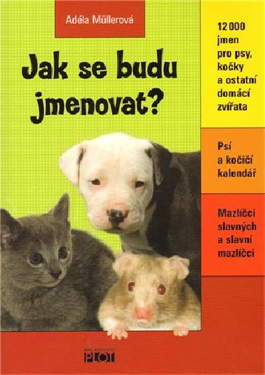 Jak se budu jmenovat? - Adla Mllerov