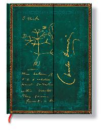 Zpisnk - Darwin, Tree of Life, ultra 180x230 - neuveden