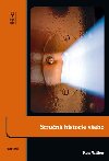 Strun historie veho - Ken Wilber