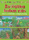 Zvtka kolem ns - 