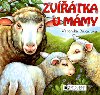 Zvtka u mmy - Veronika Balcarov; Veronika Balcarov