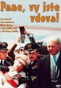Pane, vy jste vdova - DVD - Vorlek Vclav