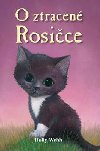 O ztracen Rosice - Holly Webb