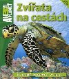 Zvata na cestch - Dwight Holing