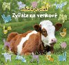 Mrous poznv zvata na venkov - 