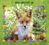 Mrousv zvinec v lese - 