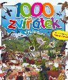 1000 zvtek k vyhledn - Francisco Arredondo