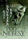 Pod nebesy - Kay Guy Gavriel