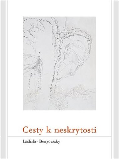 Cesty k neskrytosti - Ladislav Benyovszky