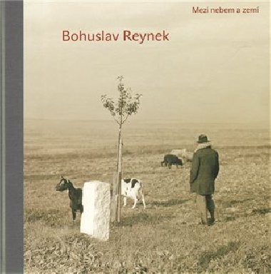 Mezi nebem a zem - Pavel Chalupa,Bohuslav Reynek