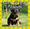 Moje prvn album mlata - 
