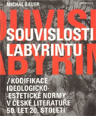 Souvislosti labyrintu - Michal Bauer