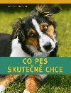 Co pes skuten chce - Ronald Lindner
