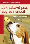 Jak zabavit psa, aby se nenudil - jednoduch hry pro ps nos - Christina Sondermann