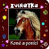Zvtka kon a ponci - 