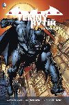Batman temn ryt 1 temn dsy - David Finch