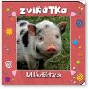 Zvtka mltka - 