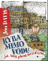 Ryba mimo vodu - Jak Amk plavat mezi echa - Jon Davis