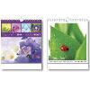 Nk14 kouzlo rosy - 