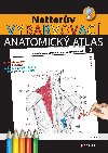 Netterv vybarvovac anatomick atlas - John T. Hansen