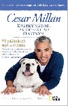 Krtk nvod, jak udlat psa astnm - Cesar Millan