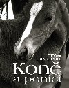 Kon a ponci - Ottova encyklopedie - Ottovo nakladatelstv