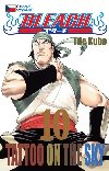 Bleach 10 - Tite Kubo