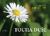 Touha due - Klra Dolealov