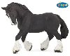 Shirsk k ern - 