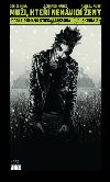 Muži, kteří nenávidí ženy ii - Leonardo Manco; Andrea Mutti; Denise Mina