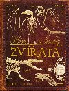 Kosti a kostry: Zvata - Knin klub