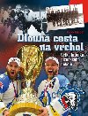 Dlouh cesta na vrchol - Velk kronika plzeskho hokeje - Radek Diestler