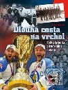 Dlouh cesta na vrchol - Radek Diestler