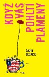 Kdy vs pohlt plameny - David Sedaris