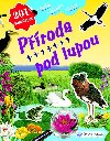 Proda pod lupou Moe, jezero, eka - 201 samolepek - Svojtka