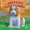 Psk belko a jeho kamarti - 