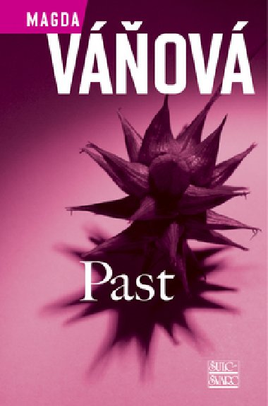 Past - Magda Vov