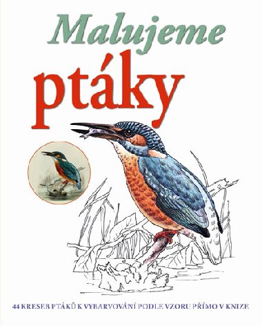 Malujeme ptáky - neuveden