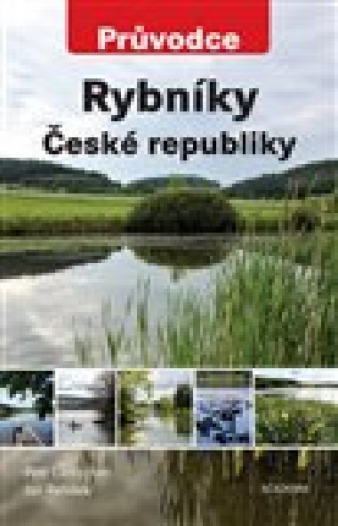 Prvodce Rybnky R - Petr Liebscher,Jan Rendek